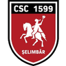 CSC 1599 Șelimbăr crest