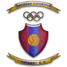 Navarro CF crest