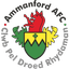 Ammanford crest