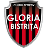 CS Gloria Bistrița crest