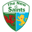 The New Saints crest