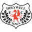 Holywell Town crest